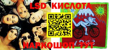 кокс Кингисепп