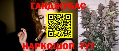 кокс Кингисепп