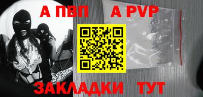 кокс Кингисепп