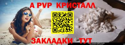 кокс Кингисепп