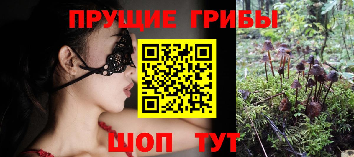 Псилоцибиновые грибы прущие грибы Тельмана